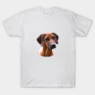 Rhodesian Ridgeback The Lion Hunting Dog T-Shirt